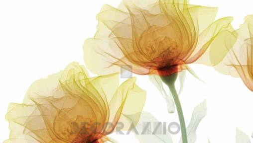 Обои Glamora Visions - GL 1031A