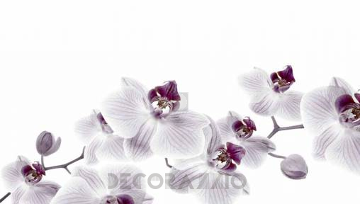 Обои Glamora Visions - GL 4081A