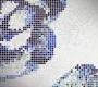 Настенная плитка Trend Brillante - Brillante 276