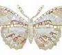 Настенная плитка Sicis Butterfly - Mariposa_10