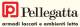 Pellegatta