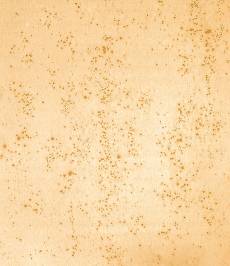 Обои Arte Metallics, 52000