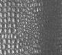 Обои Arte Carapace - 64000