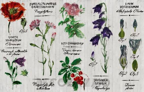 Обои Wall&Deco Life 15 - WDPR1501