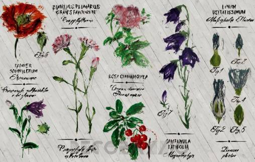 Обои Wall&Deco Life 15 - WDPR1501