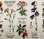 Обои Wall&Deco Life 15 - WDPR1501