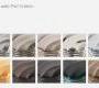 Дверные защелки Sherle Wagner Beaded - 1071-GP