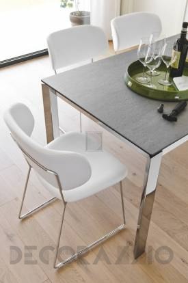 Calligaris CLAIRE - Дизайнерский стул