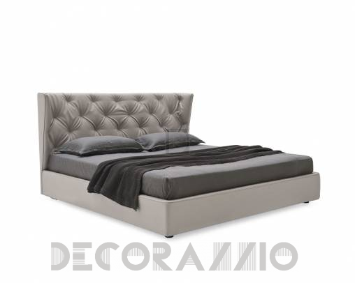 Calligaris WYNN - CS/6049-XG