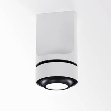 Светильник  потолочный накладной (Светильник потолочный)