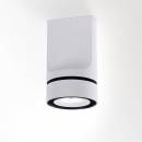 Светильник  потолочный накладной (Светильник потолочный)