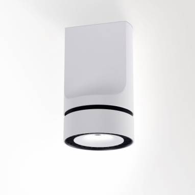 Светильник  потолочный накладной (Светильник потолочный)