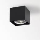 Светильник  потолочный накладной (Светильник потолочный)