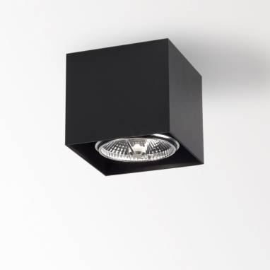 Светильник  потолочный накладной (Светильник потолочный)