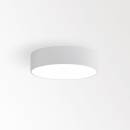 Светильник  потолочный накладной (Светильник потолочный)