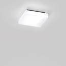 Светильник  потолочный/настенный накладной (Светильник)