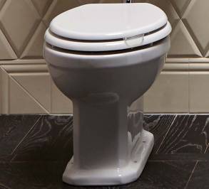 Унитаз Park Avenue Flush, PK9840201