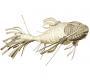 Светильник потолочный подвесной (Люстра) LZF-Lamps Life Size - koi 20