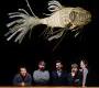 Светильник потолочный подвесной (Люстра) LZF-Lamps Life Size - koi 20