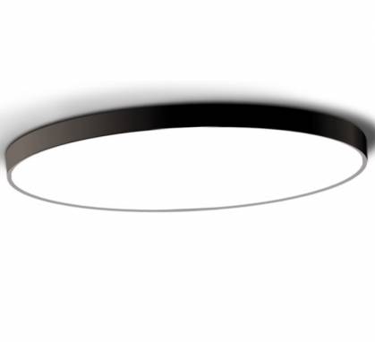 Светильник  потолочный накладной (Светильник потолочный)