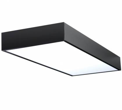 Светильник  потолочный накладной (Светильник потолочный)