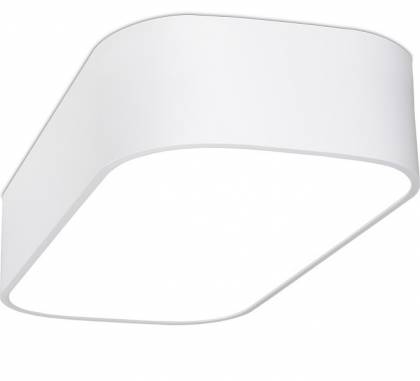 Светильник  потолочный накладной (Светильник потолочный)