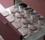 Комплект в кухню Aster Cucine Atelier - At8