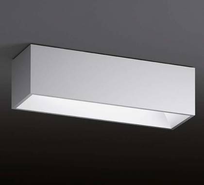 Светильник  потолочный накладной (Светильник потолочный)