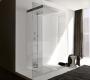 Душевая перегородка Treesse Spa+Home - idea_WT_160x90