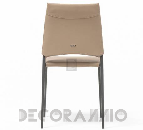 Стул Cattelan Italia Sally - sally-chair-1