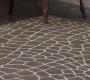 Ковер GAN Hand Knotted - dragonfly_rug_brown_1