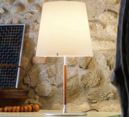 Светильник  настольный (Настольная лампа)
