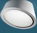 Светильник  потолочный накладной (Светильник потолочный)