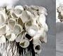 Ваза FOS Ceramiche Naturalia - Naturalia 2