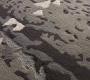 Ковер Jab Anstoetz Flooring - Characters_Structures