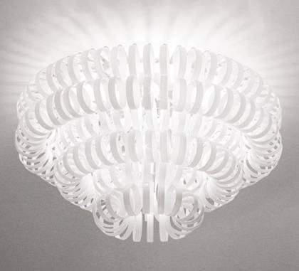 Светильник  потолочный накладной (Светильник потолочный)