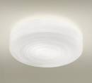 Светильник  потолочный накладной (Светильник потолочный)