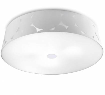 Светильник  потолочный накладной (Светильник потолочный)