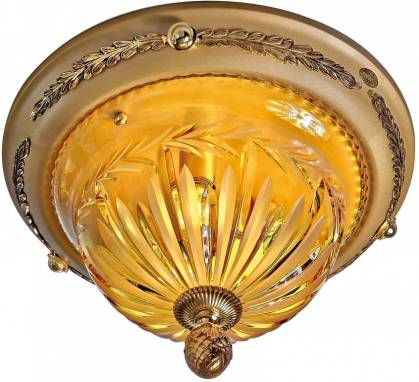 Светильник  потолочный накладной (Светильник потолочный)