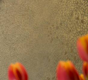 Обои Hohenberger Peace, Pearl_81024