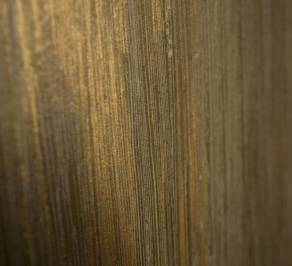 Обои Hohenberger Muse, Close-Ups_62724