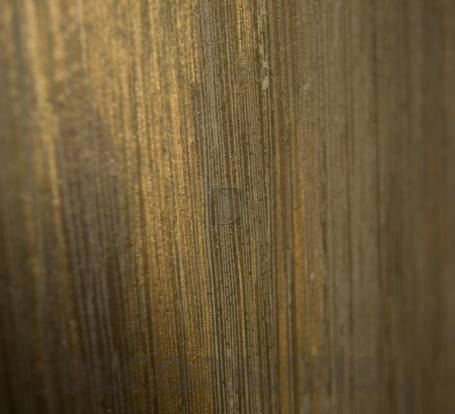Обои Hohenberger Muse - Close-Ups_62724