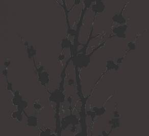 Обои Hohenberger Halo, Singles_80646