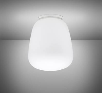 Светильник  потолочный накладной (Светильник потолочный)