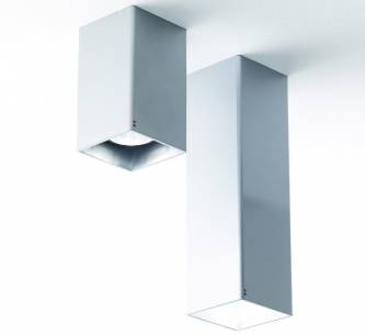 Светильник  потолочный накладной (Светильник потолочный)