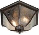 Светильник уличный потолочный накладной (Светильник потолочный)