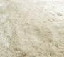 Ковер Papilio Rugs Pride - RPLUCC-8800