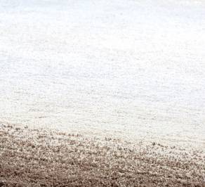 Ковер Papilio Rugs Pride, RPPARM-8888
