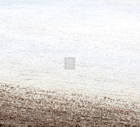 Ковер Papilio Rugs Pride - RPPARM-8888