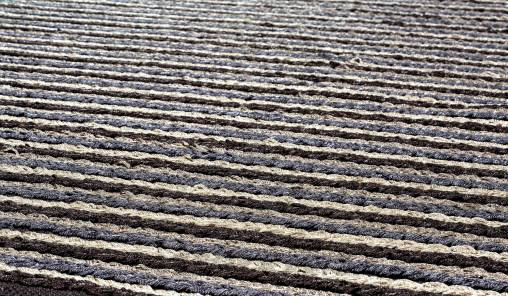 Ковер Papilio Rugs Pride - RPPLAT-1118
